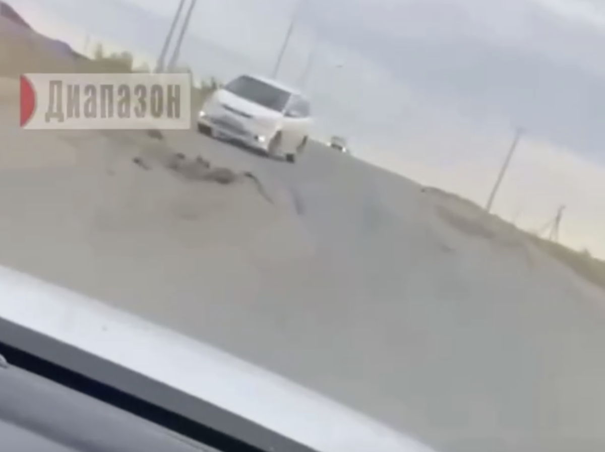 Фото: видео скриншот