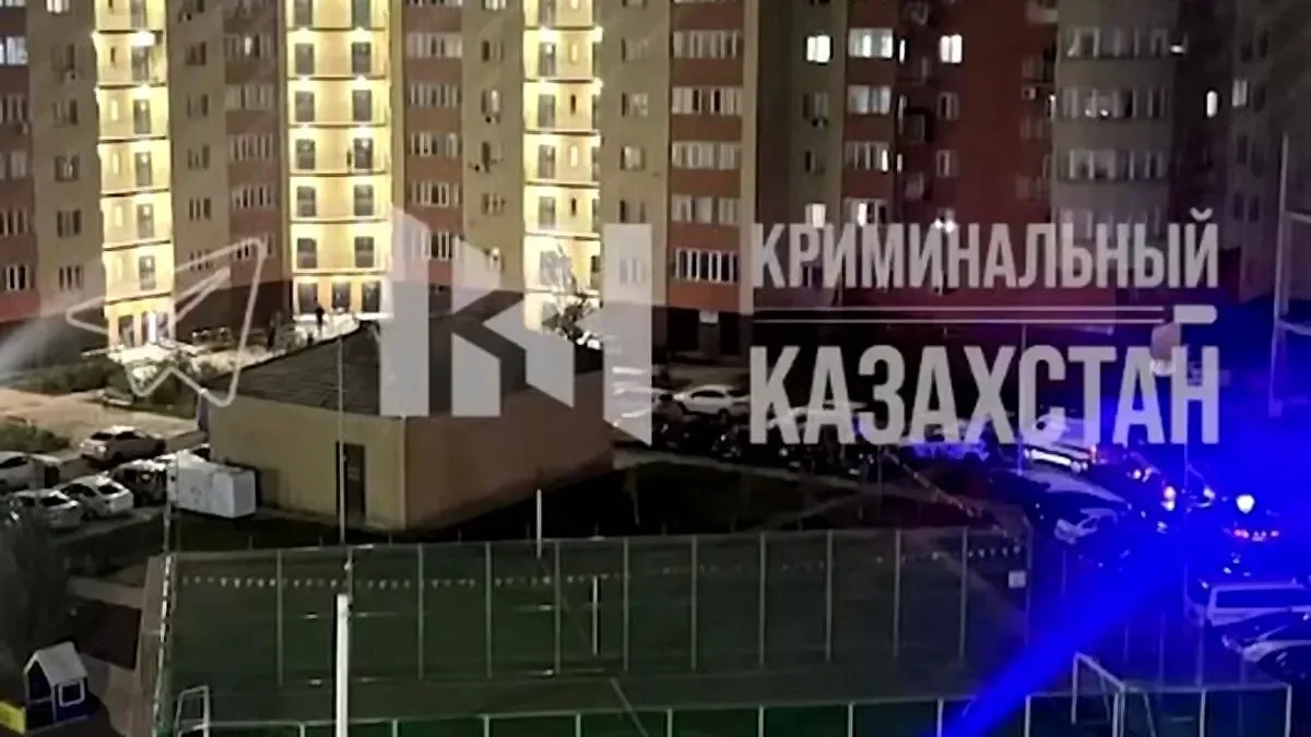 Фото: видеодан скрин