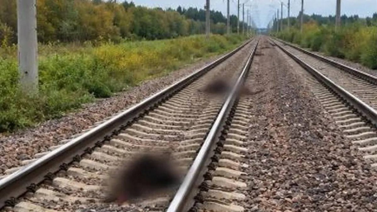 Фото: Көліктегі полиция департаменті