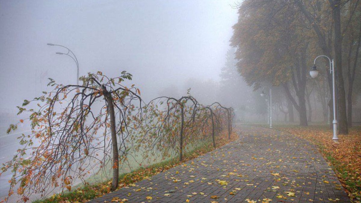 Фото: Pixabay