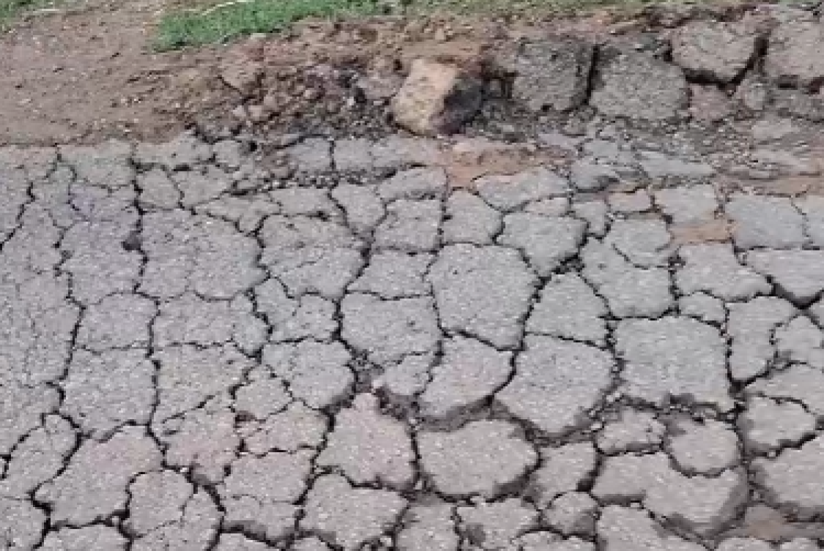 Фото: Видео скриншот