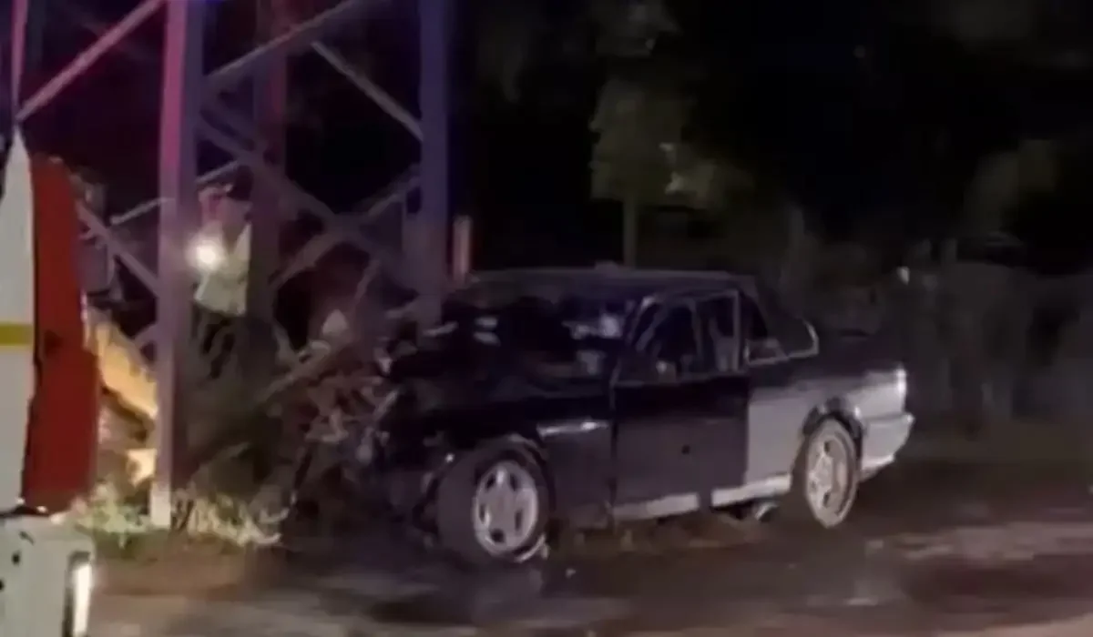 Фото: видеодан скрин