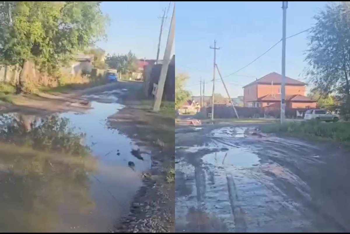 Фото: видеодан скрин