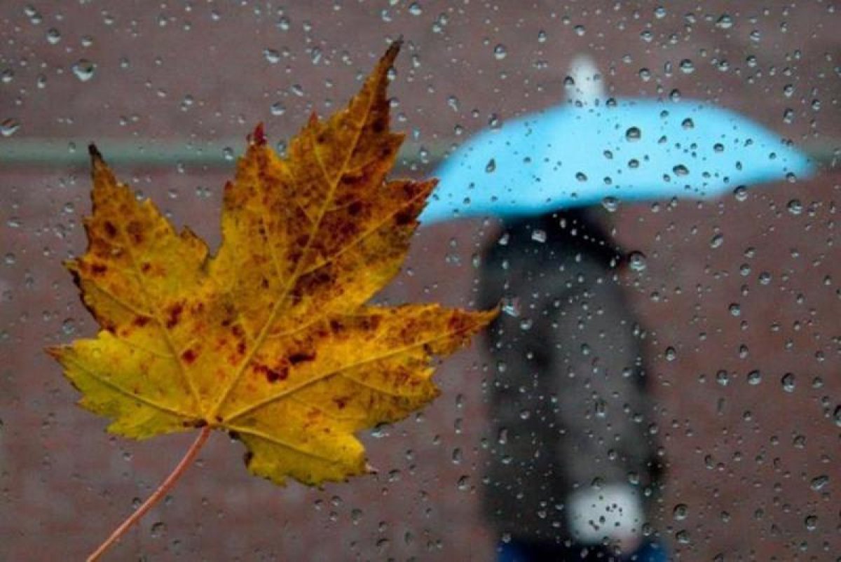 Фото: әлеуметтік желі