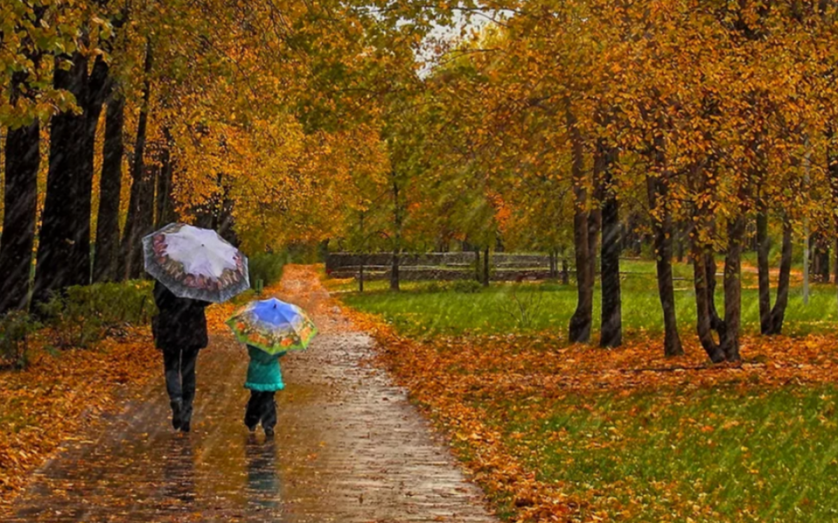 Фото: pixabay