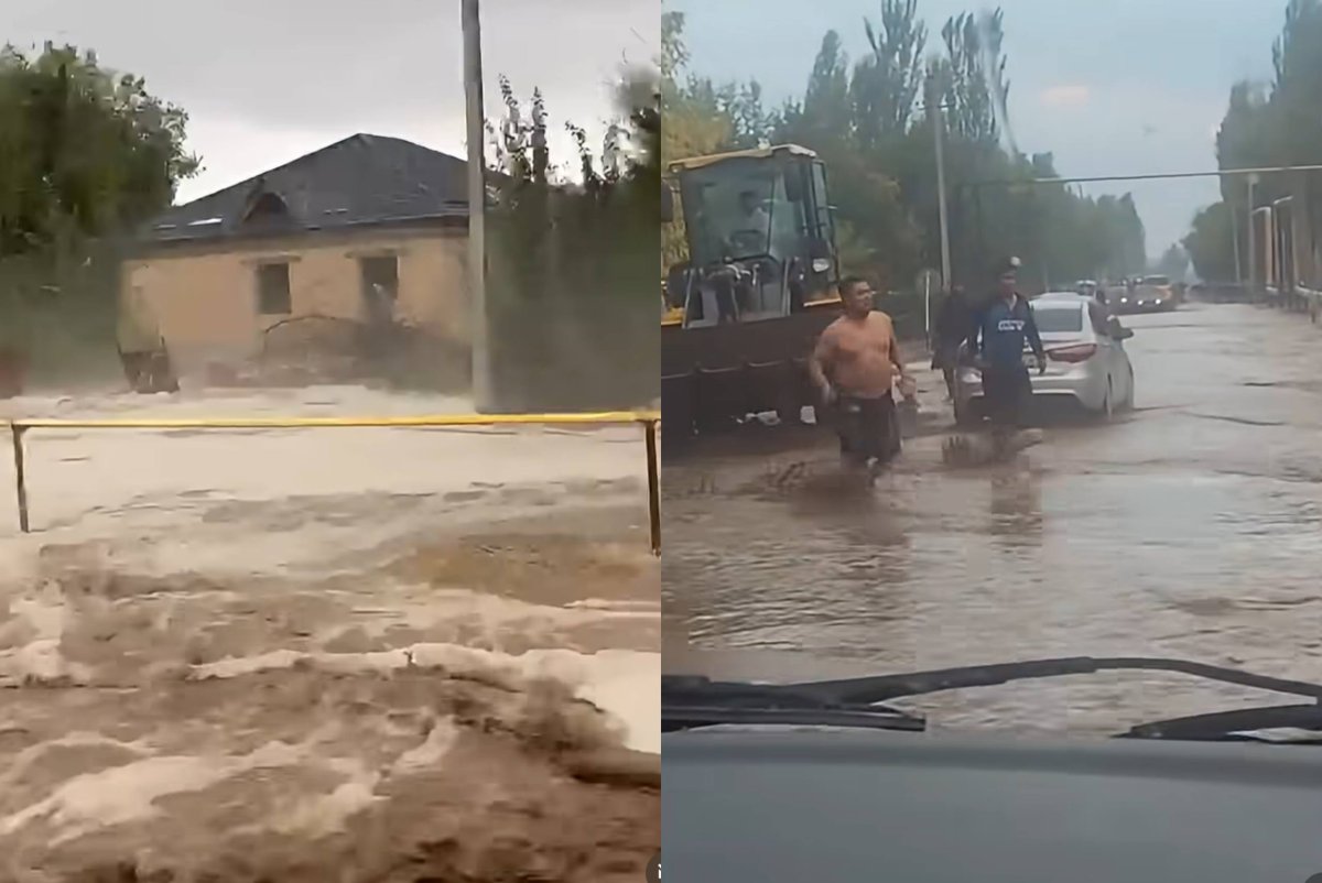 Коллаж: Sn.kz