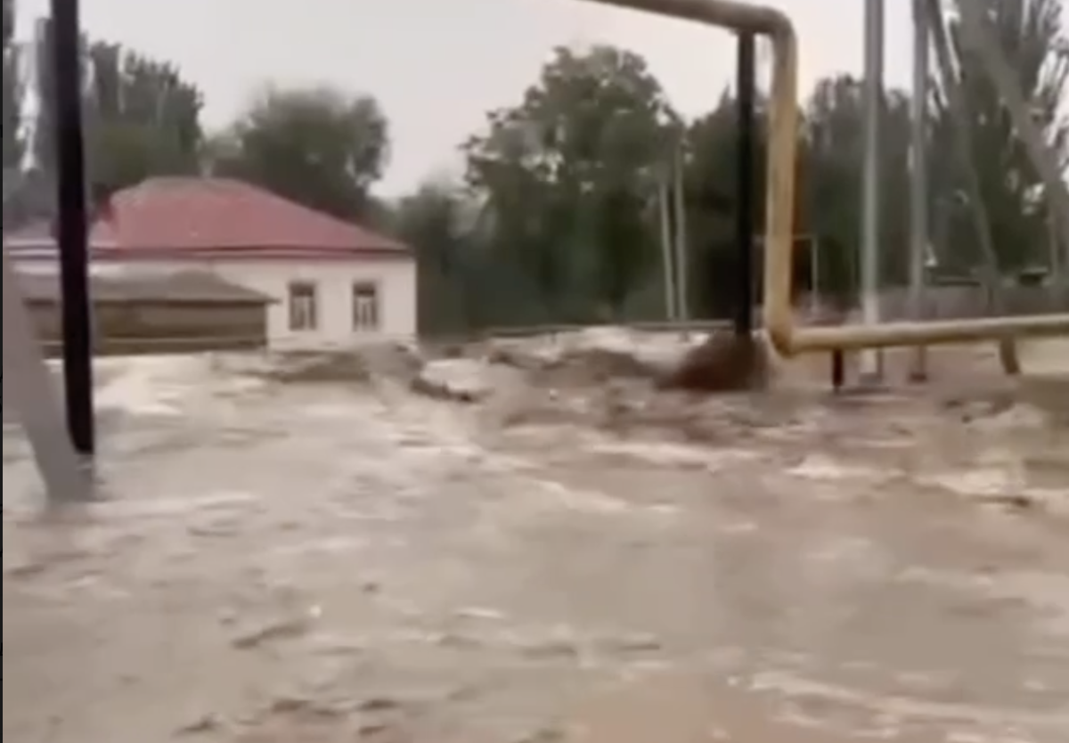 Фото: видео скриншот