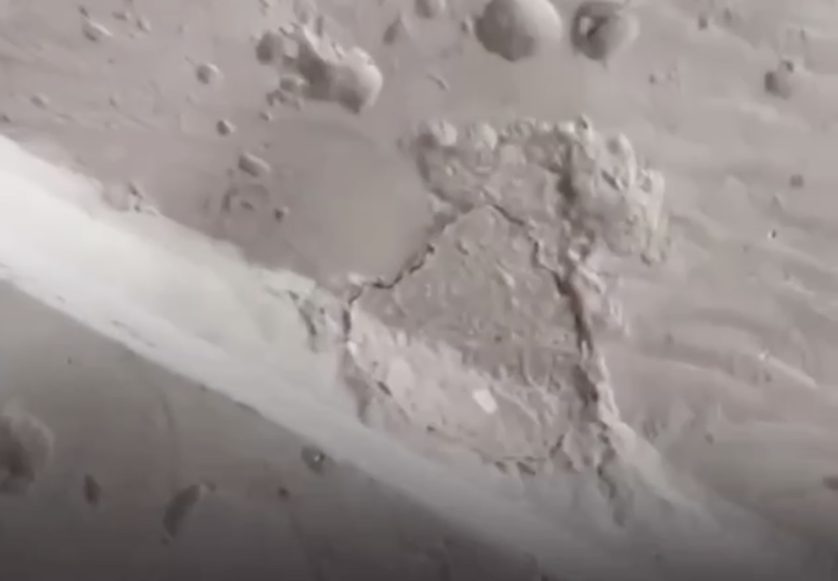 Фото: видео скриншот