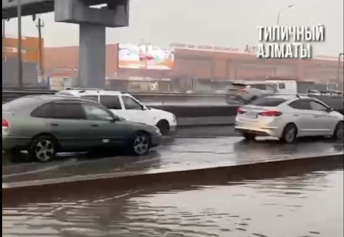 Фото: видео скриншот