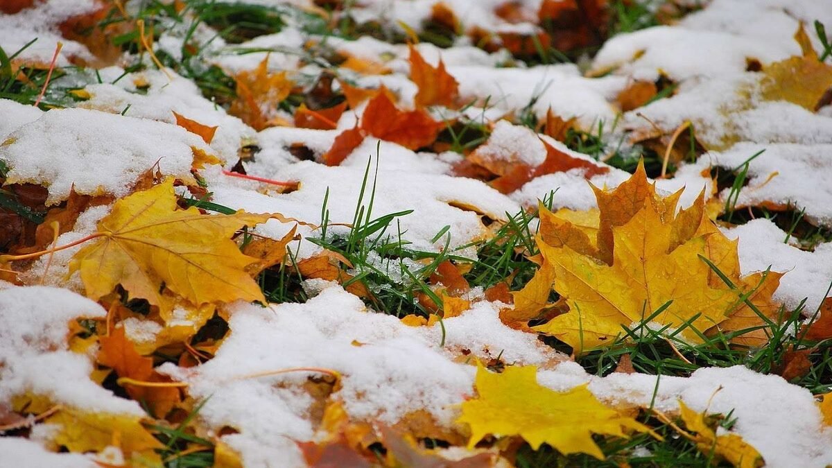 Фото: Wallpapermania.eu