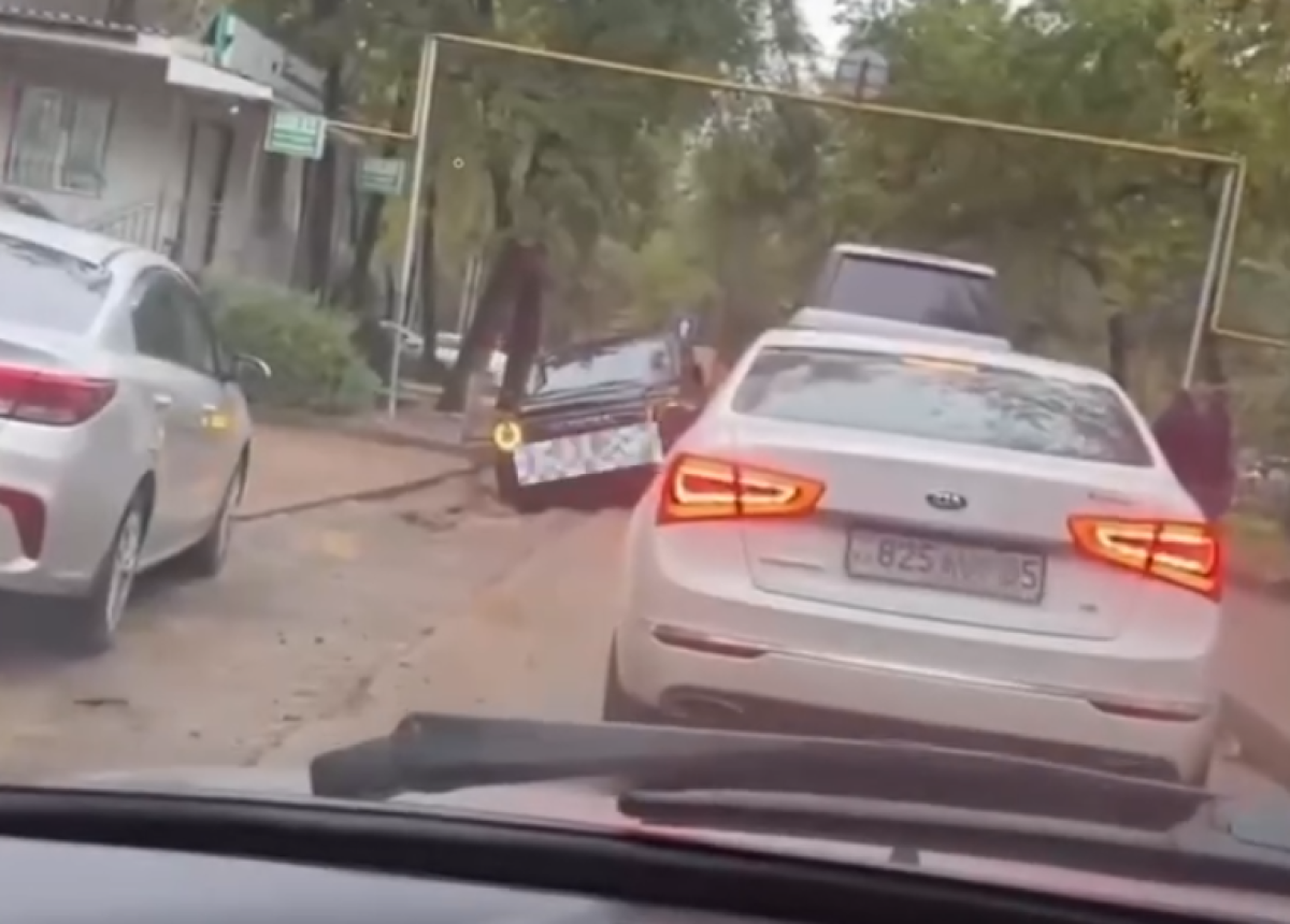 Фото: Видео скриншот