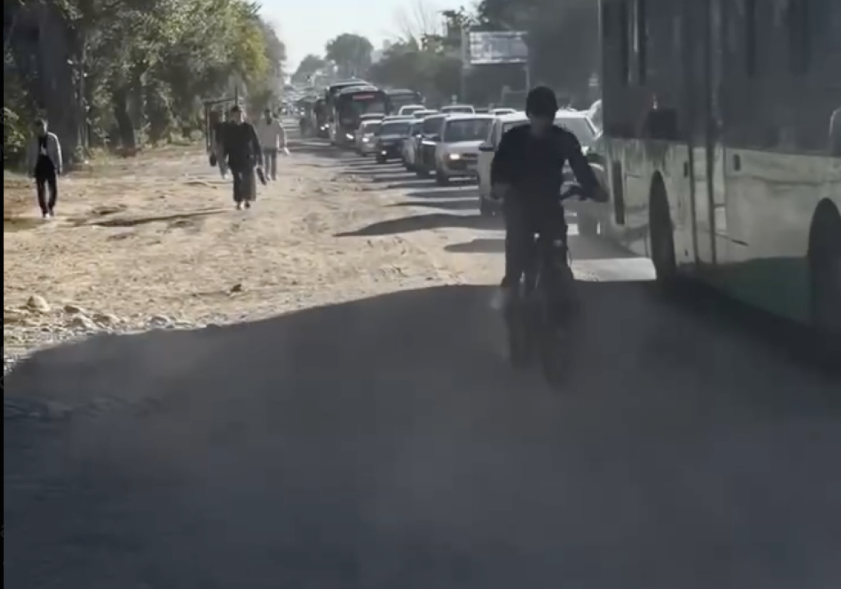 Фото: видео скриншот