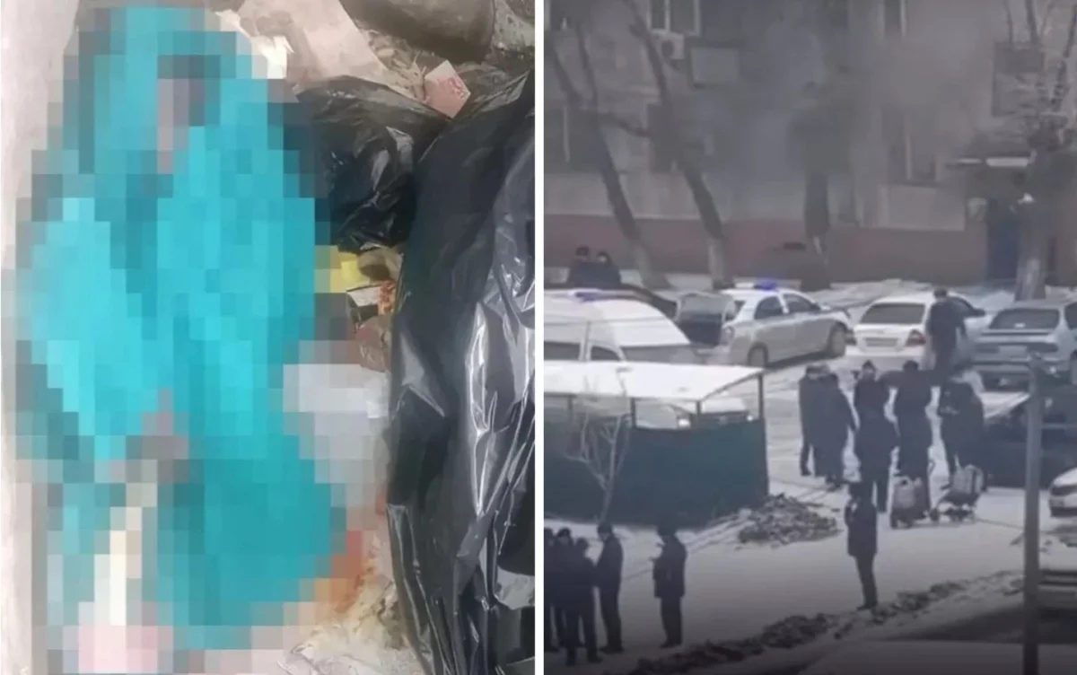 Фото: видео скриншот