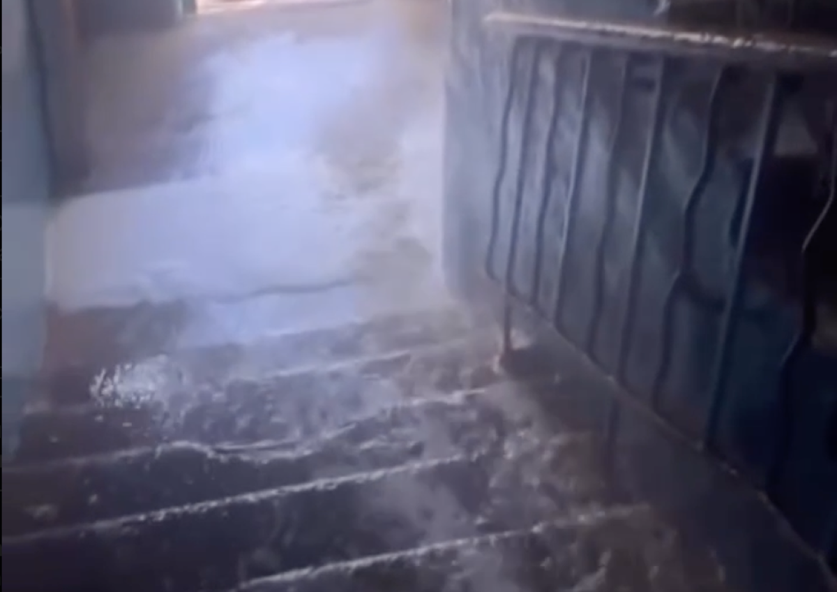 Фото: видео скриншот