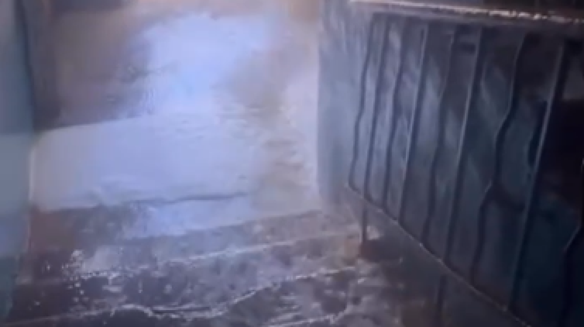 Фото: Видео скриншот