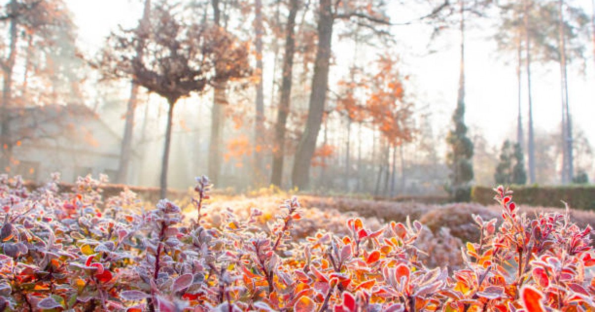 Фото: Pixabay
