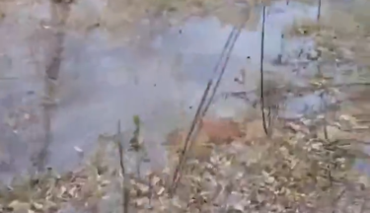 Фото: Видео скриншот