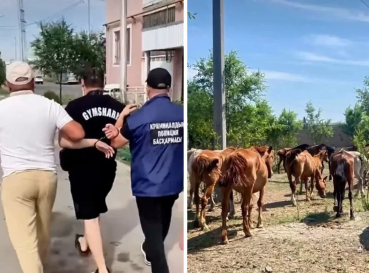 Фото: видео скриншот
