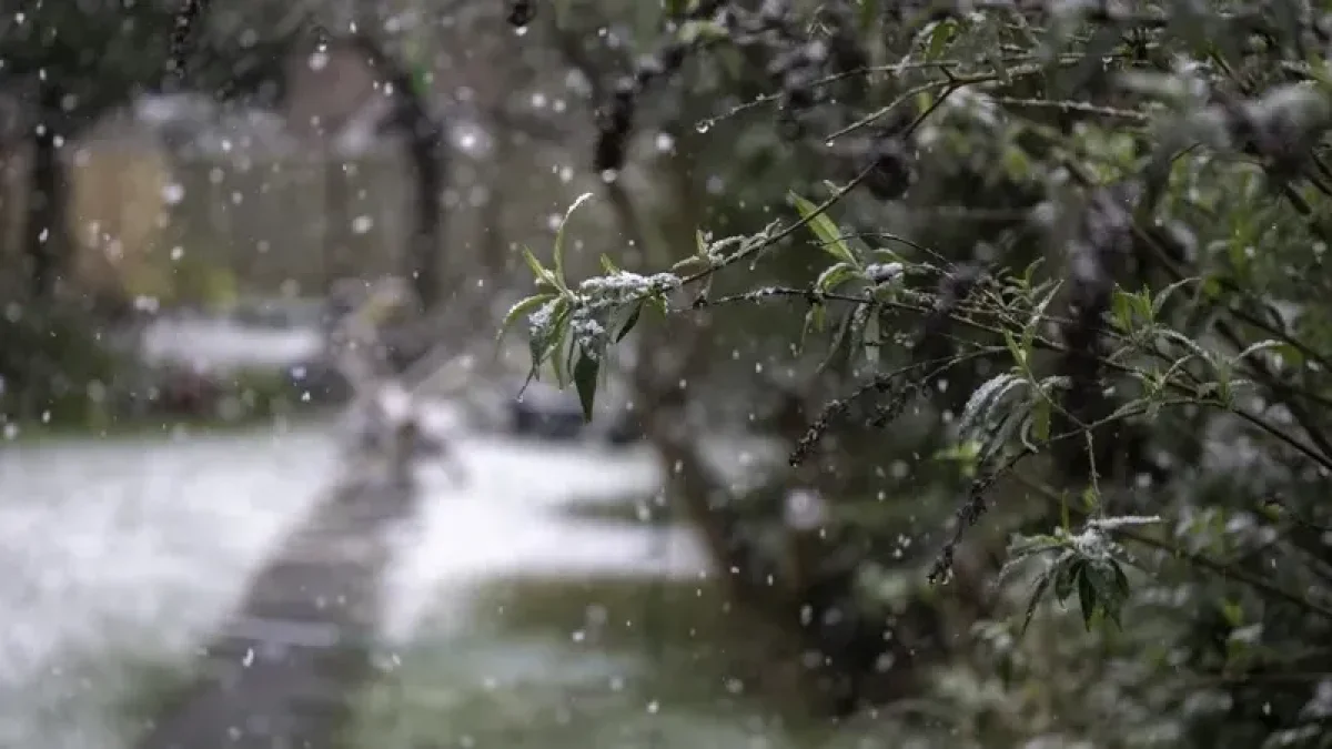 Фото: Pixabay