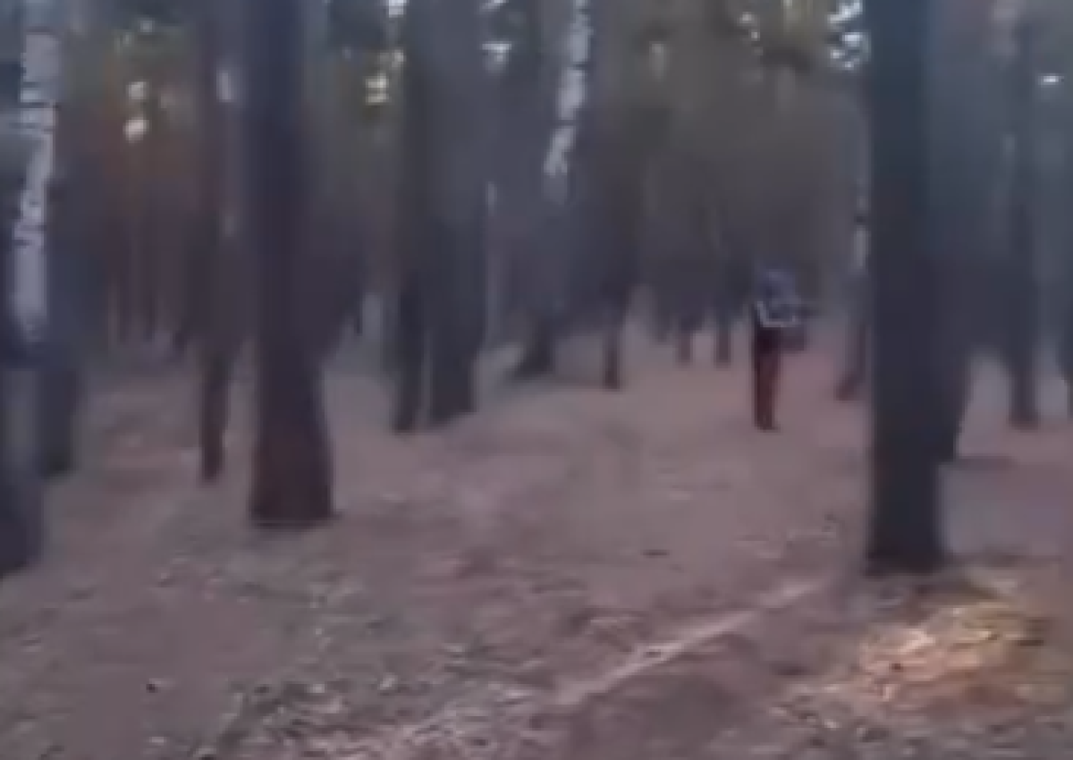 Фото: Видео скриншот