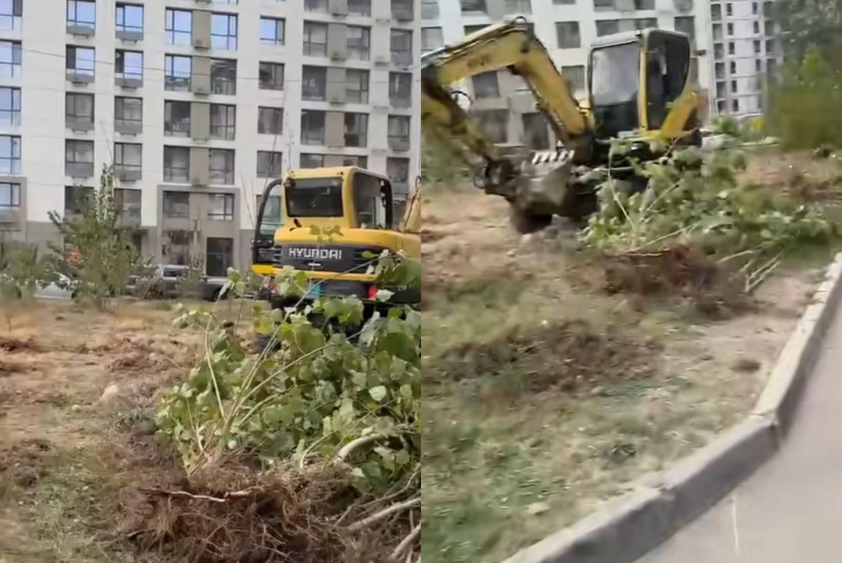 Коллаж: Sn.kz