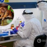 Қос көршімізде - қос вирус: Ресей хантавирус дерті бойынша әлемде 2-орынға шықты